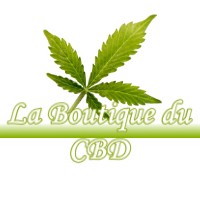 LA BOUTIQUE DU CBD CASTELNAU-CHALOSSE 